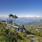 Ride India's Toy Train in Darjeeling