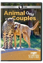 Nature: Animal Odd Couples (2012)