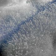 Surface Hoar Frost