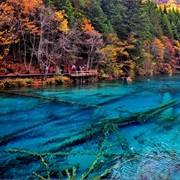 Five Flower Lake, China.