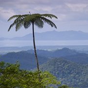 Navua, Fiji