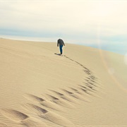 Survive When Lost in the Desert