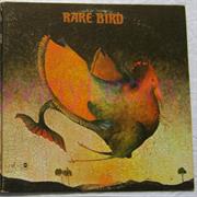 Rare Bird - Rare Bird