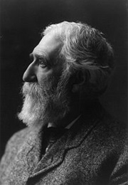 In the Wilderness (Charles Dudley Warner)