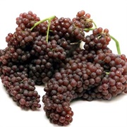 Champagne Grapes