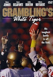 Grambling&#39;s White Tiger (1981)
