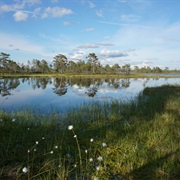 Kauhaneva Pohjankangas NP, Finland