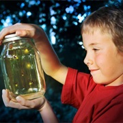 Catching Lightning Bugs in Mason Jars