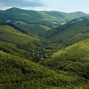 Bukk Mountains National Park, Hungary