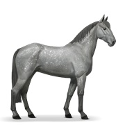 Standardbred - Dapple Gray