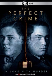 American Experience: The Perfect Crime (2016)