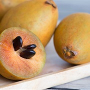 Sapodilla (Manilkara Zapota)