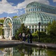 Escape the Sounds of the City in the Brooklyn Botanic Garden