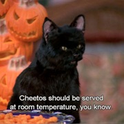 Salem (Sabrina the Teenage Witch)