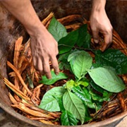Ayahuasca