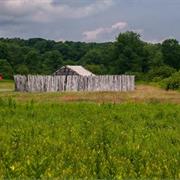 Fort Necessity National Battlefield