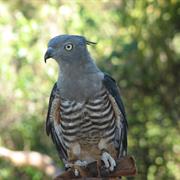 Littabella National Park (QLD)