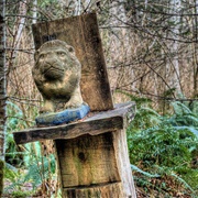 Wacky Woods, Fanny Bay, British Columbia