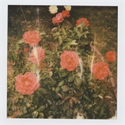 Girl in Red - Chapter 2