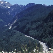 Mountains to Sound Greenway - I-90