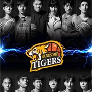 Handsome Tigers