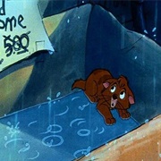 Once Upon a Time in New York City