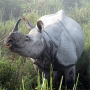 Chitwan National Park, Nepal
