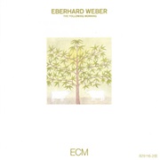 Eberhard Weber - The Following Morning