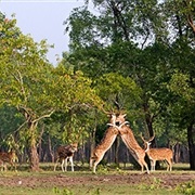 Nijhum Dhip Park, Bangladesh