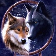 Wolf Dreamcatcher