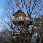 Treehouse