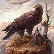 Golden Eagle