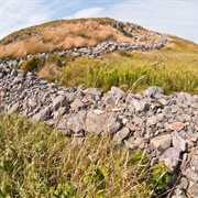 Walled Landscape of Grates Cove,