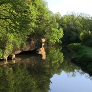 White Pines Forest State Park, Illinois