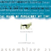 Assemblage 23 - Contempt