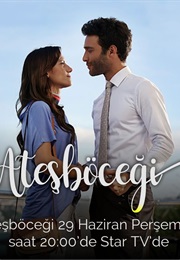 Ateşböceği (2017)