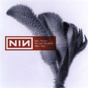 Nine Inch Nails- The Day the World Went Away
