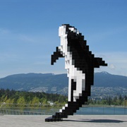 Digital Orca, Vancouver