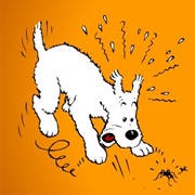 Overcome a Fear (Even a Small Victory)