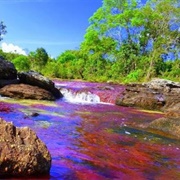 Cano Cristales, Colombia
