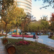 Tirana