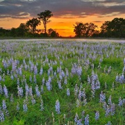 Sherburne National Wildlife Refuge