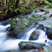Washpool National Park