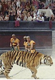 Tigers, Gladiator (2000)