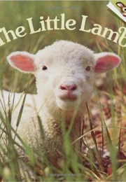 The Little Lamb (Judy Dunn)