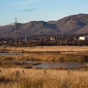 Black Devon Wetlands