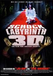The Shock Labyrinth