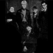 One Thousand Violins