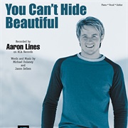 Aaron Lines You Can't Hide Beautiful