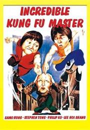 The Incredible Kung Fu Master